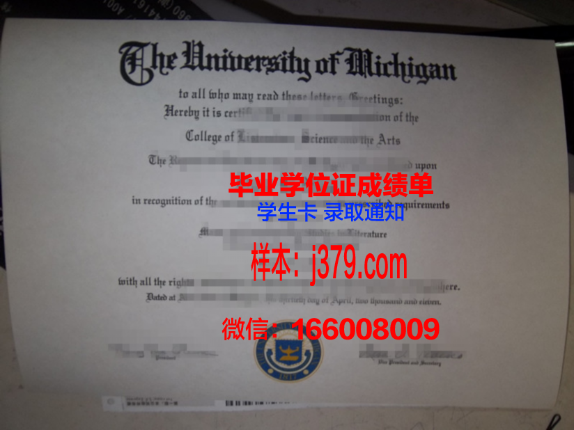 阿道夫·伊瓦涅斯大学毕业证外壳