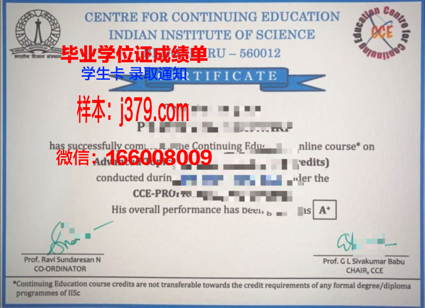雷恩国立应用科学学院毕业证定制：传承与创新的艺术