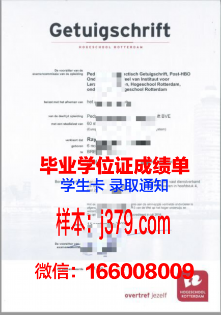 维莱尔国际商学院毕业证书模板(维莱尔国际商学院在职研究生招生简章)