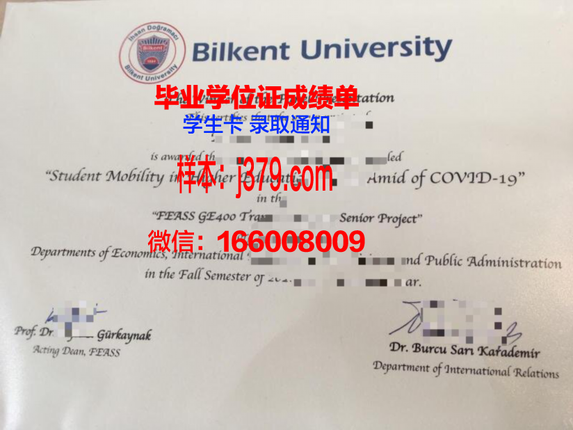 阿里坎特大学毕业文凭