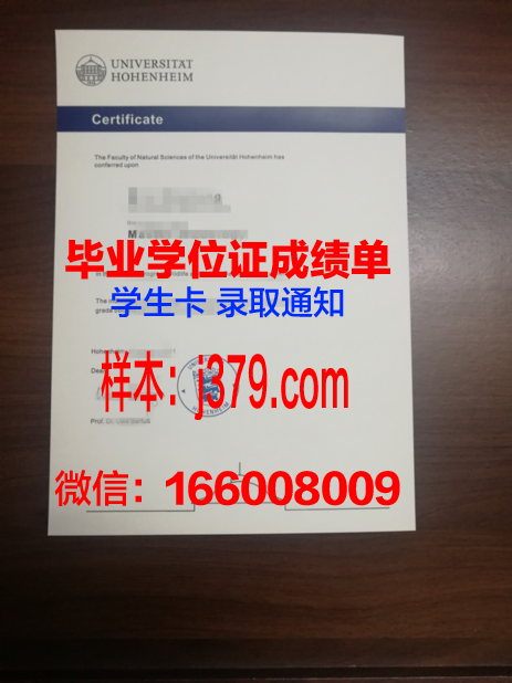 霍恩海姆大学毕业证书图片(霍恩海姆大学语言要求)