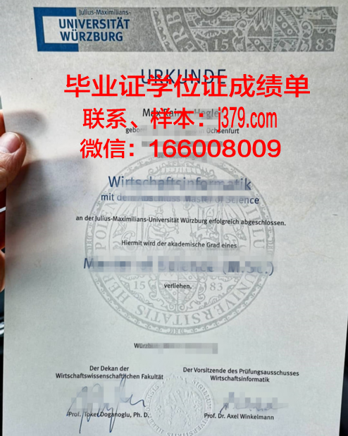 维尔茨堡大学毕业证书图片模板(维尔茨堡大学相当于国内什么大学)