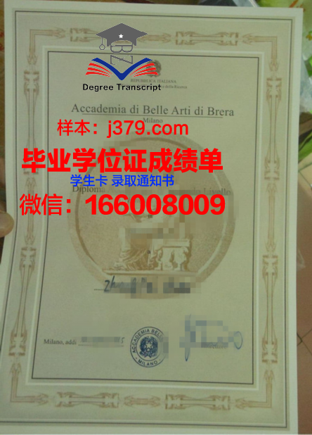雷焦卡拉布里亚美术学院毕业证(布雷拉美术学院排名)