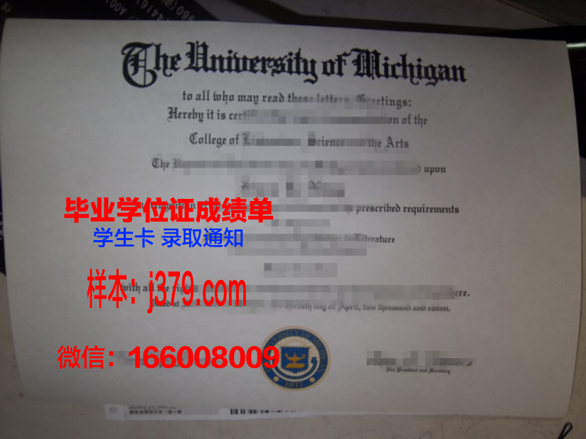 维戈大学毕业证图片大全(维戈大学毕业证图片大全大图)