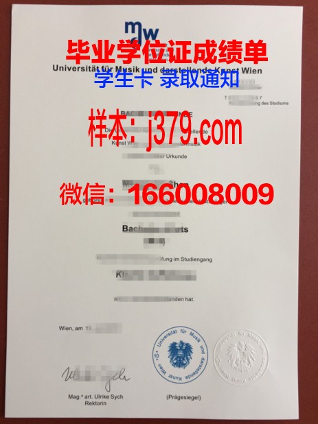 维也纳造型艺术学院几年可以毕业证(维也纳艺术学院的落榜生)
