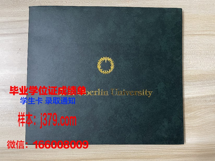 雷根斯堡应用技术大学毕业证图片(雷根斯堡大学dsh)