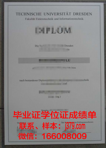 雷根斯堡应用技术大学毕业证好找工作吗(雷根斯堡在德国哪里)
