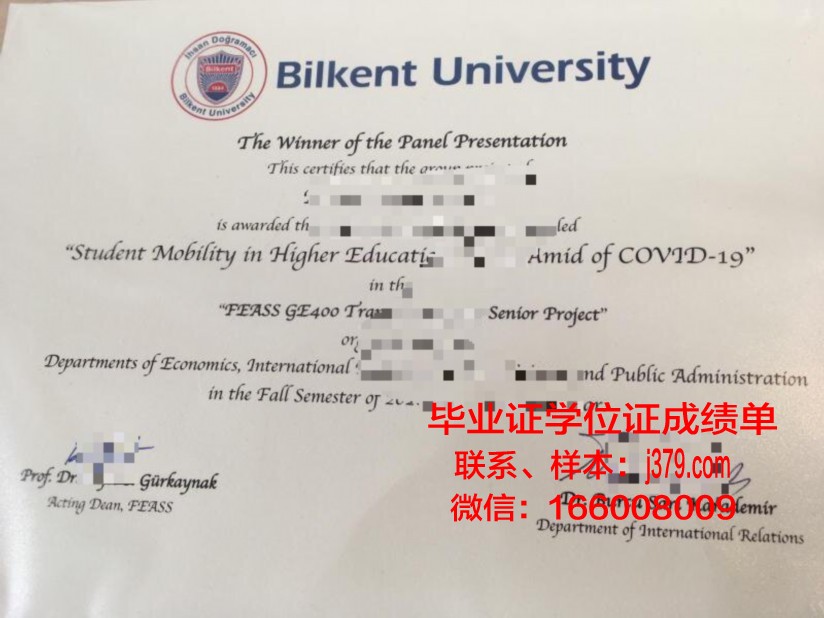 阿里坎特大学毕业文凭