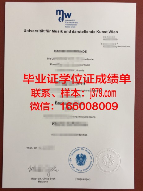 维也纳造型艺术学院博士毕业证(维也纳艺术学院的落榜生)