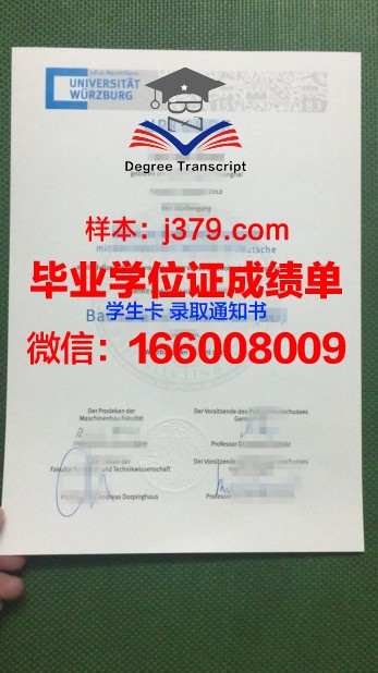 维尔茨堡大学文凭(维尔茨堡大学汉学系)