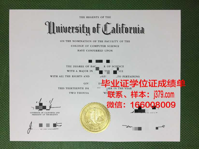 维亚特卡国立大学本科毕业证：一份跨越国界的荣誉