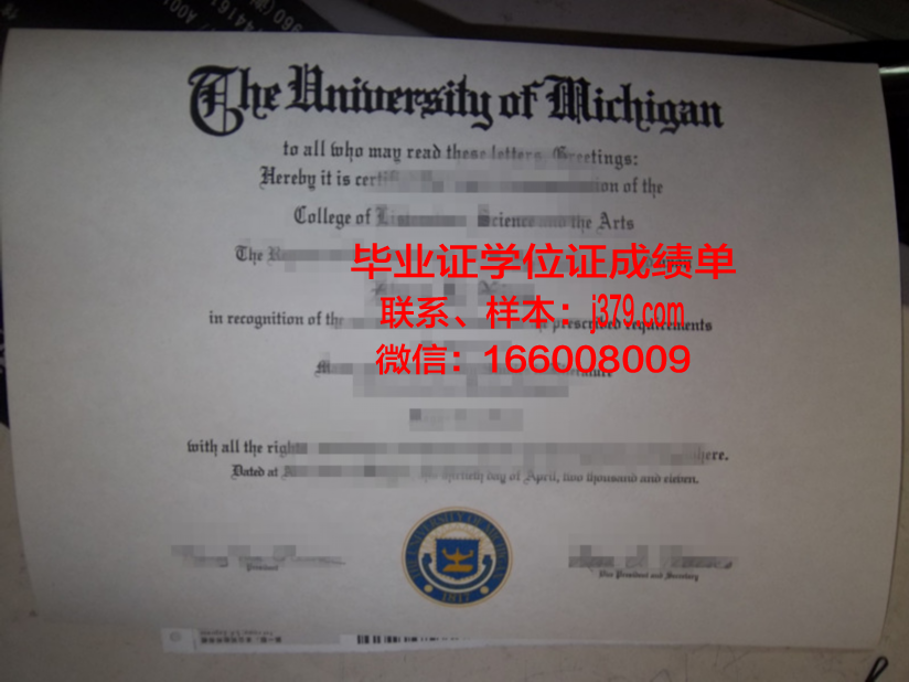 阿迪格国立大学毕业证模板