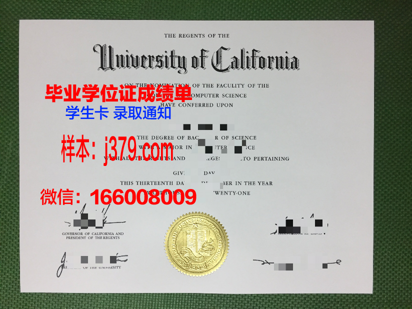 维戈大学毕业证：一份通往未来的钥匙