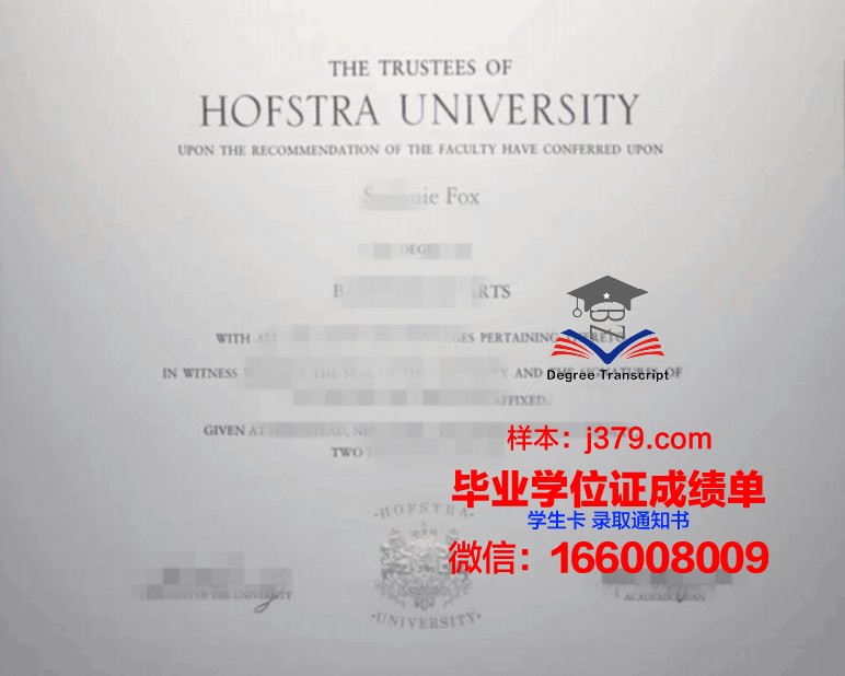 霍夫应用技术大学diploma证书(德国霍夫应用技术大学)