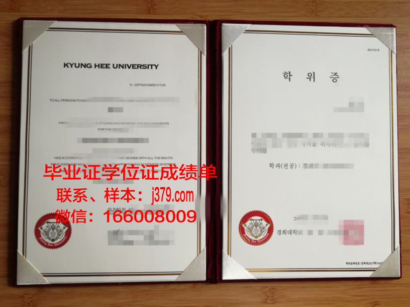 雅丹那博大学学位证书