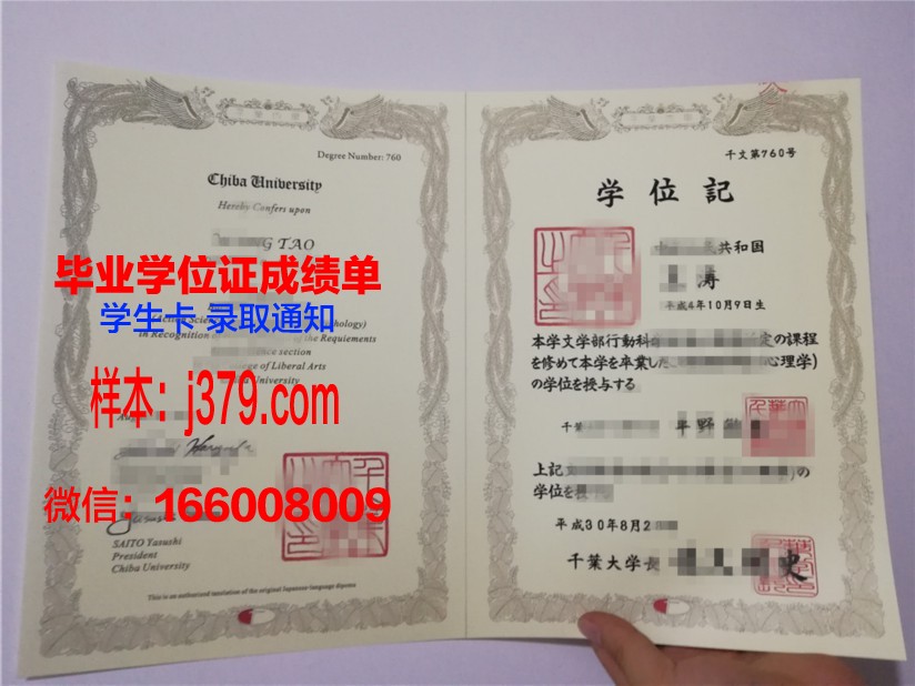 千叶大学毕业证展示