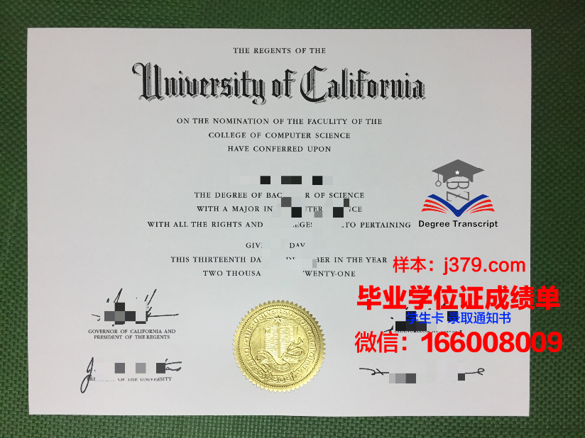 匹大毕业证：一张承载梦想与荣耀的纸