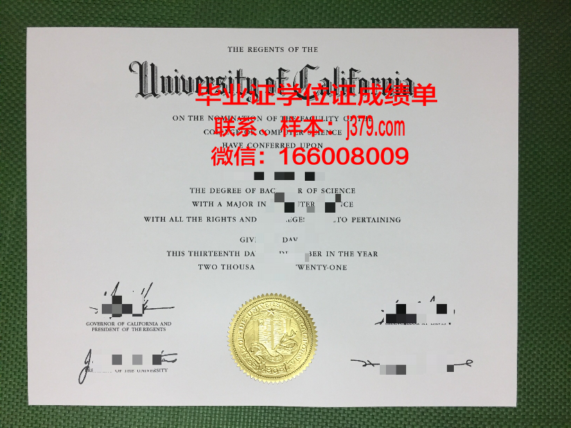 卓越传播设计学院毕业证成绩单 The One Academy diploma